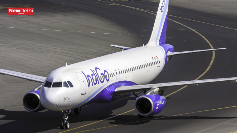 IndiGo Flight
